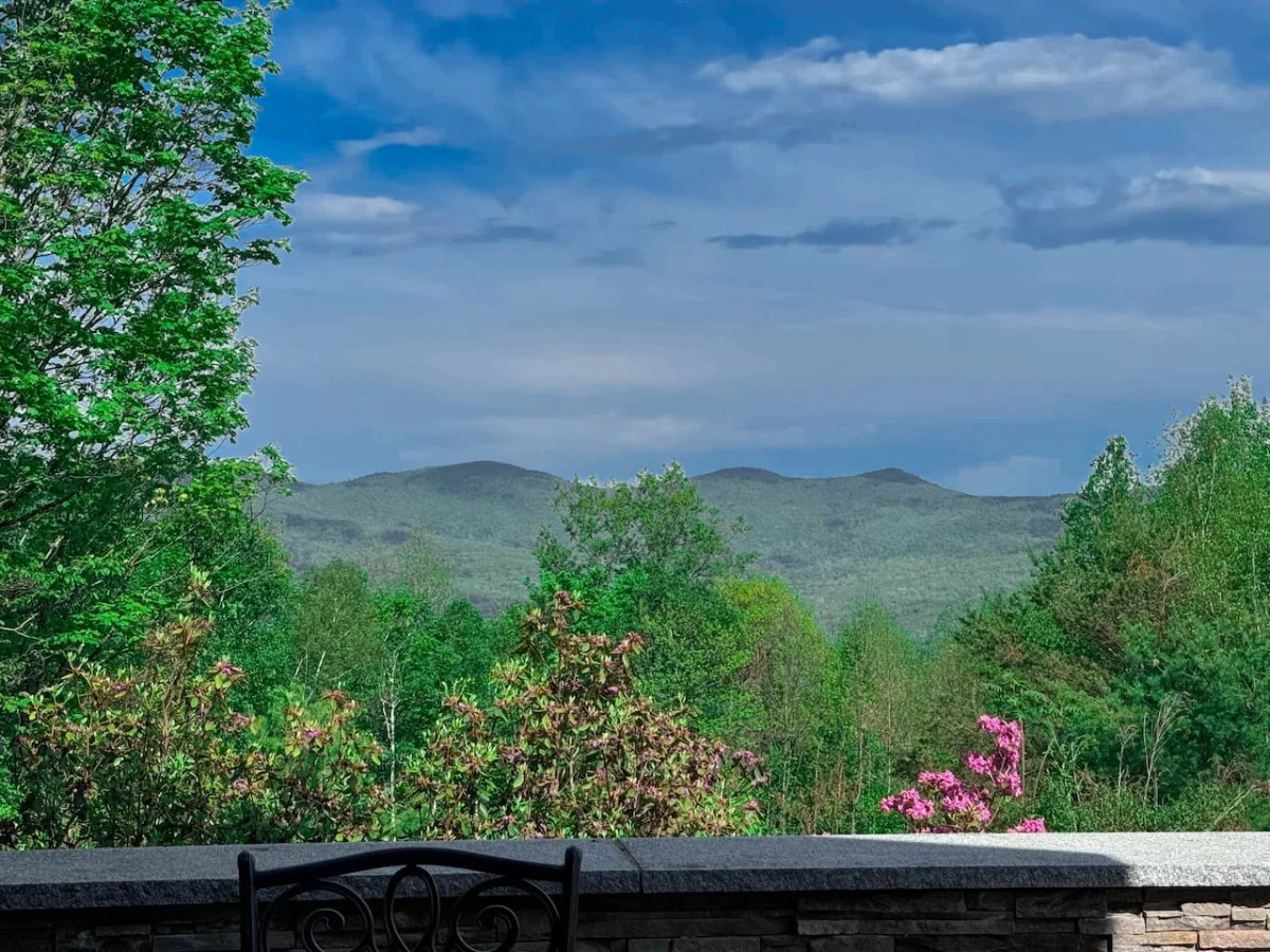 Swiss Alps Chalet in Jackson | Mountain Views + AC #22
