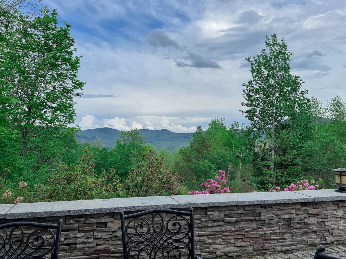 Swiss Alps Chalet in Jackson | Mountain Views + AC #65