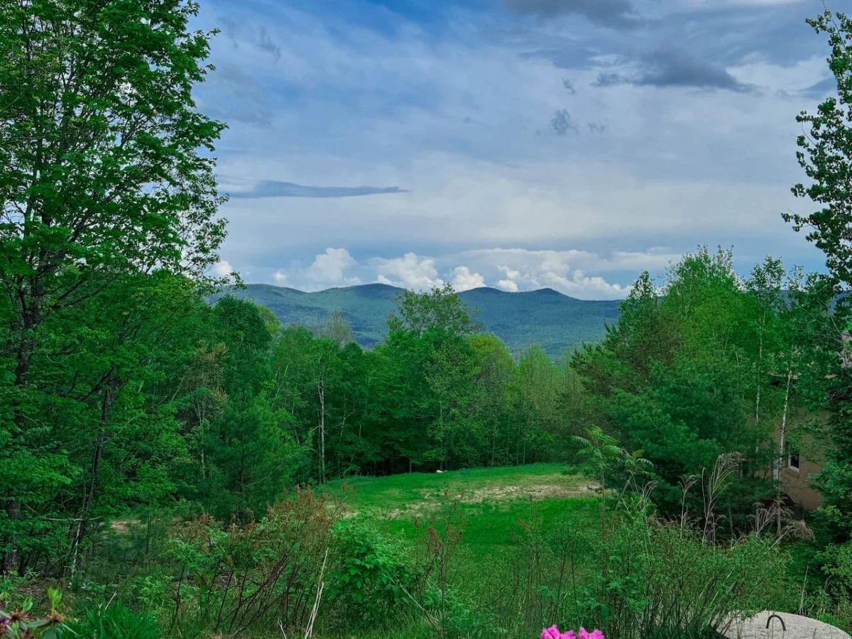 Swiss Alps Chalet in Jackson | Mountain Views + AC #60