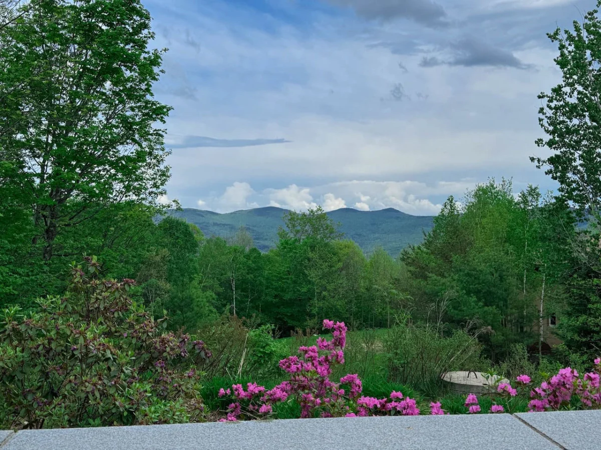 Swiss Alps Chalet in Jackson | Mountain Views + AC #63