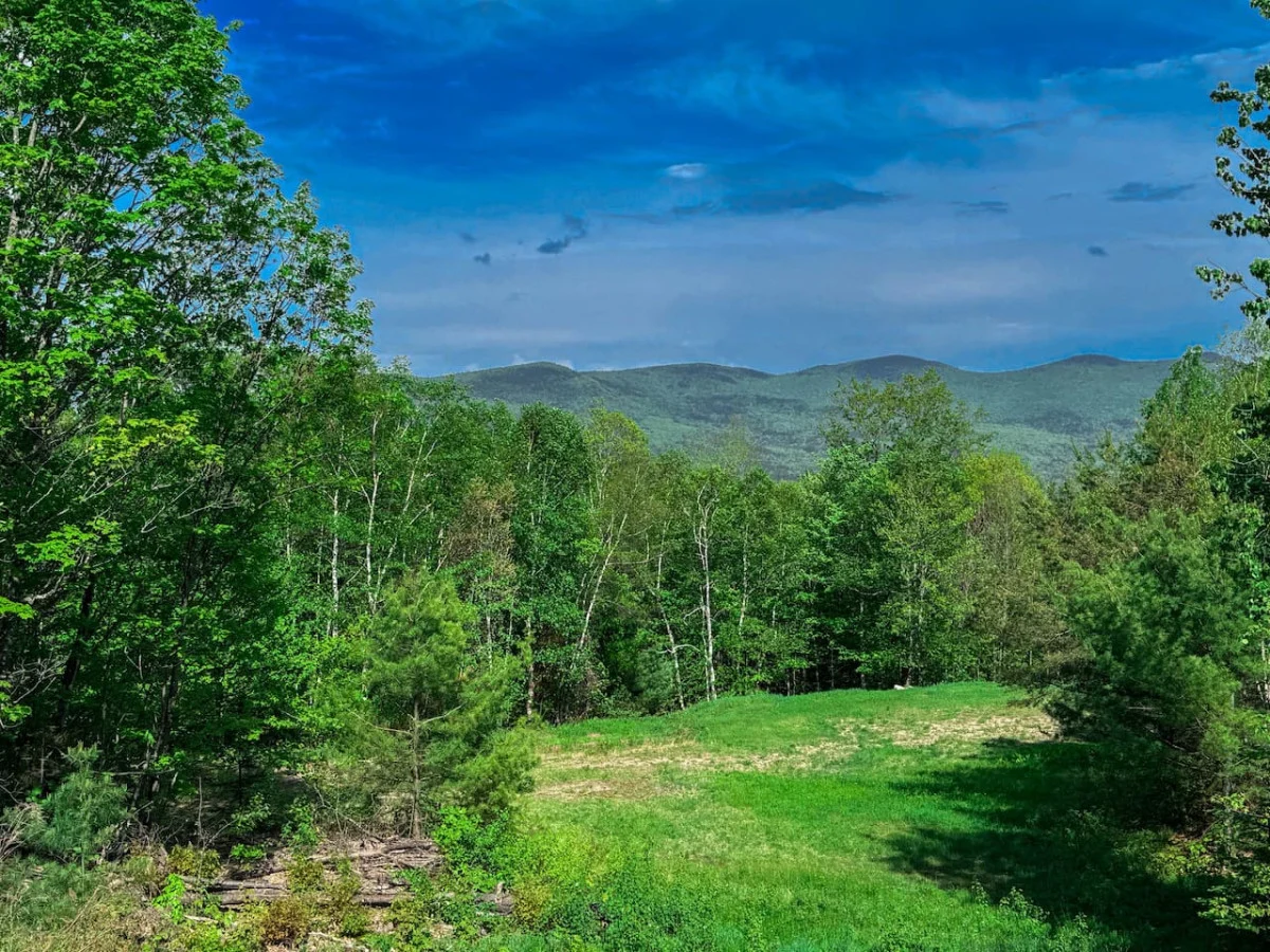 Swiss Alps Chalet in Jackson | Mountain Views + AC #51