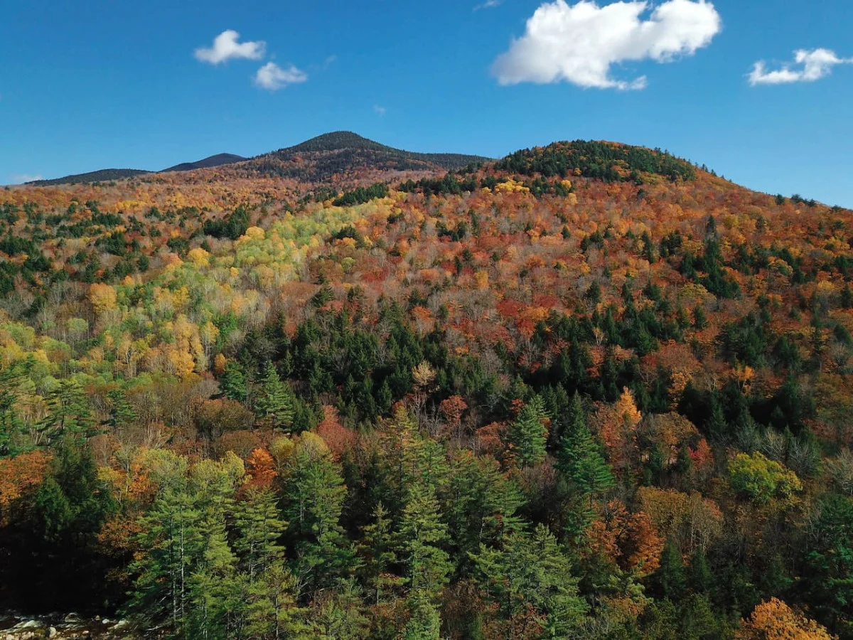 The Ledges Estate | 4100 ft.² Luxe Mountain Home #80