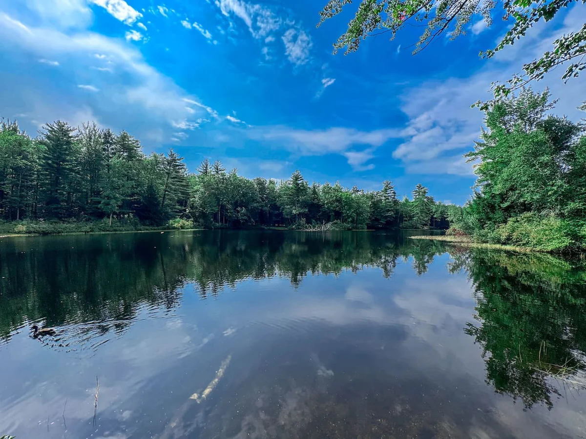 The Trilogy | Sleeps 36, 3 Hot Tubs, 19 Beds, Pond #4