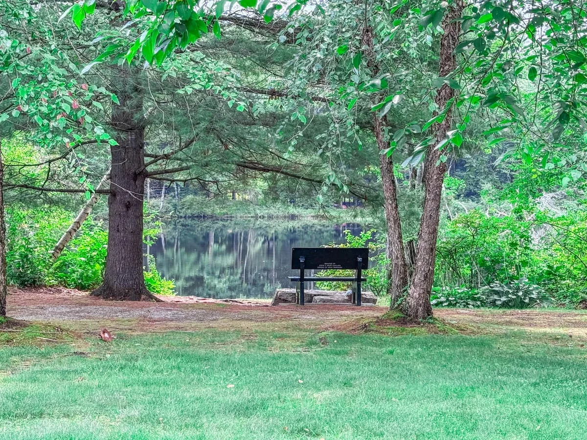 The Trilogy | Sleeps 36, 3 Hot Tubs, 19 Beds, Pond #5