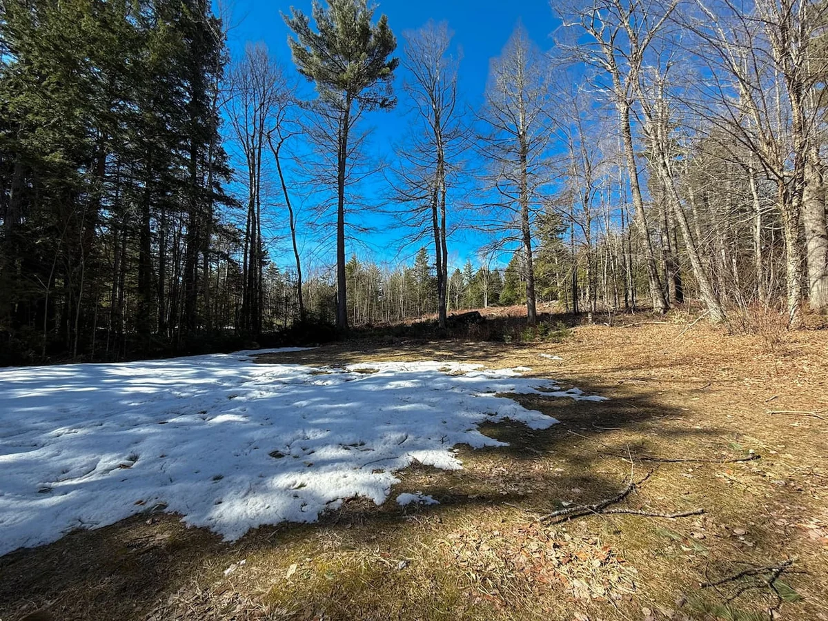 The West Nest | Private, Hot Tub, Central, 4 Bdrm #5