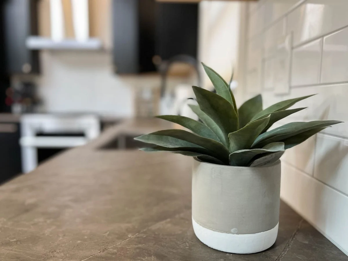 The Whitaker House | Luxe | Heart of the Valley #44
