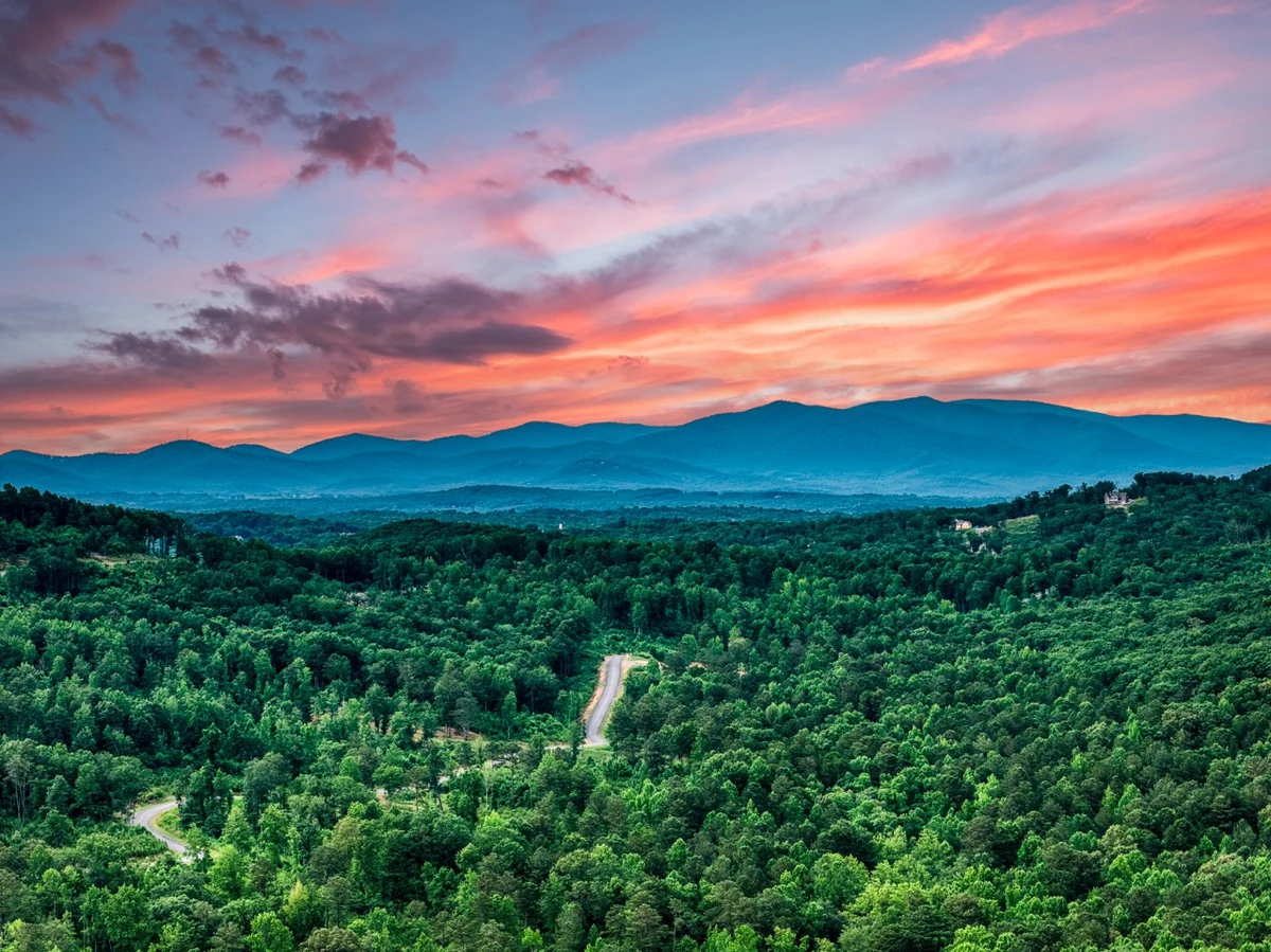 The Wellness & Wine Retreat #43