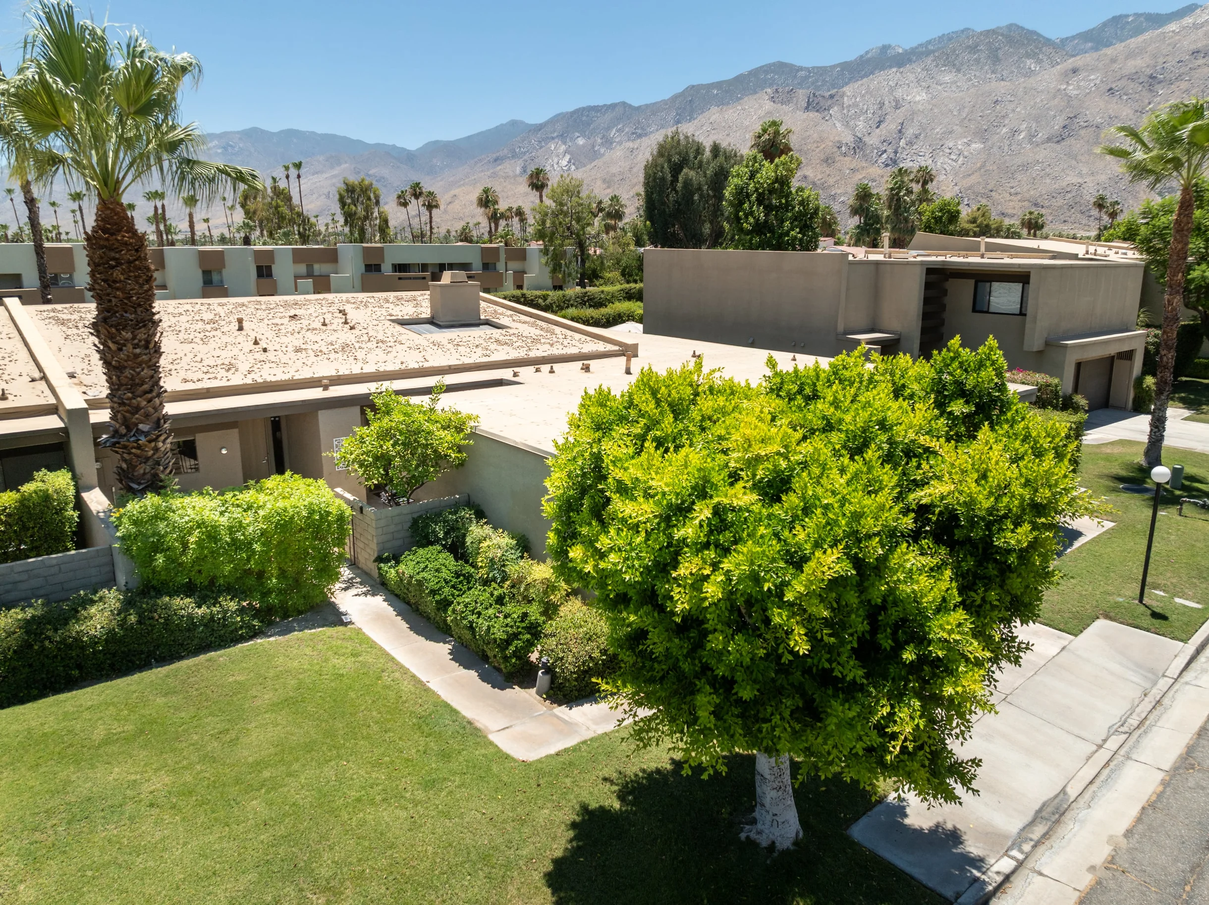 Calm Waters Palm Springs #47