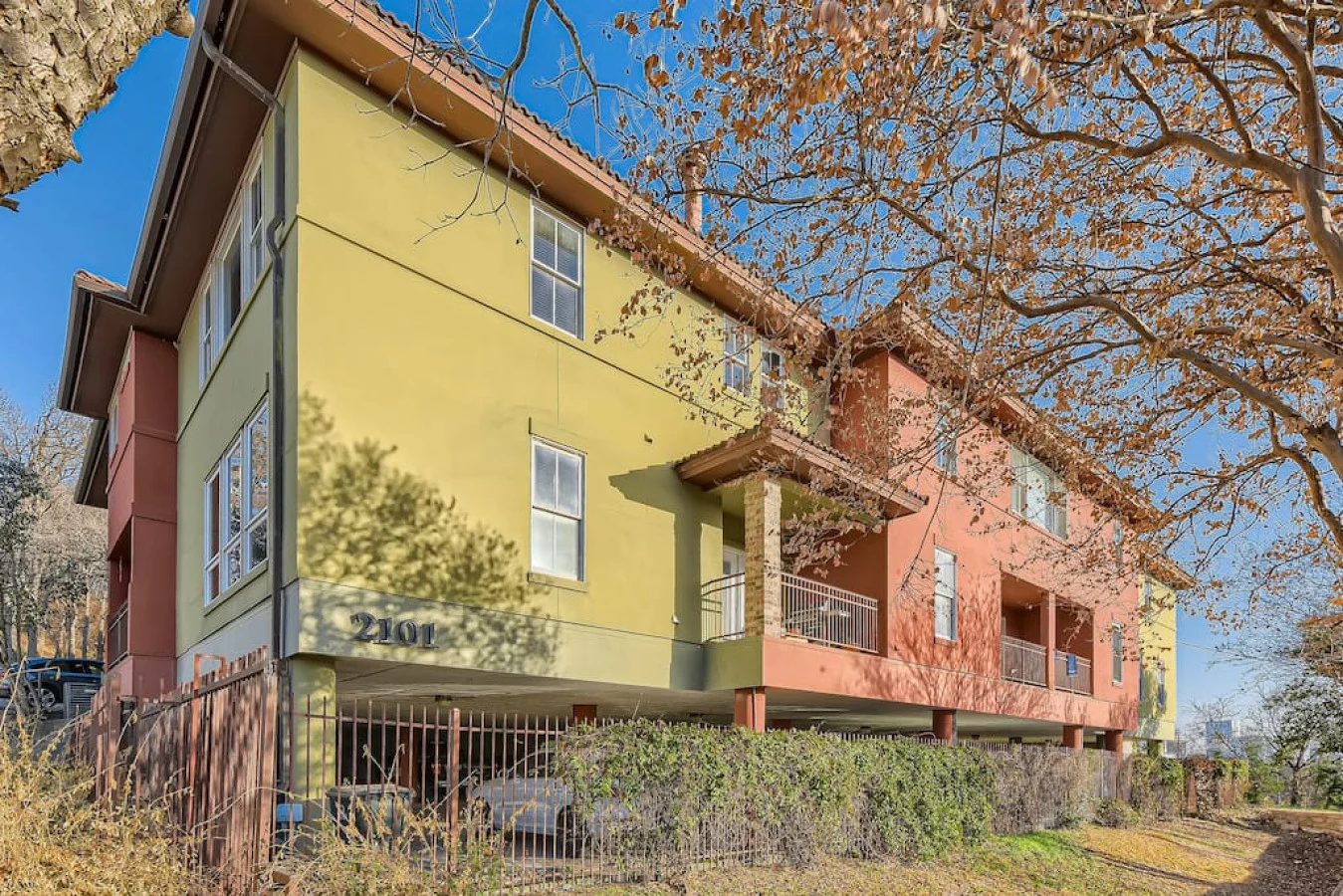 Yellow and terracotta condo building beneath a large tree