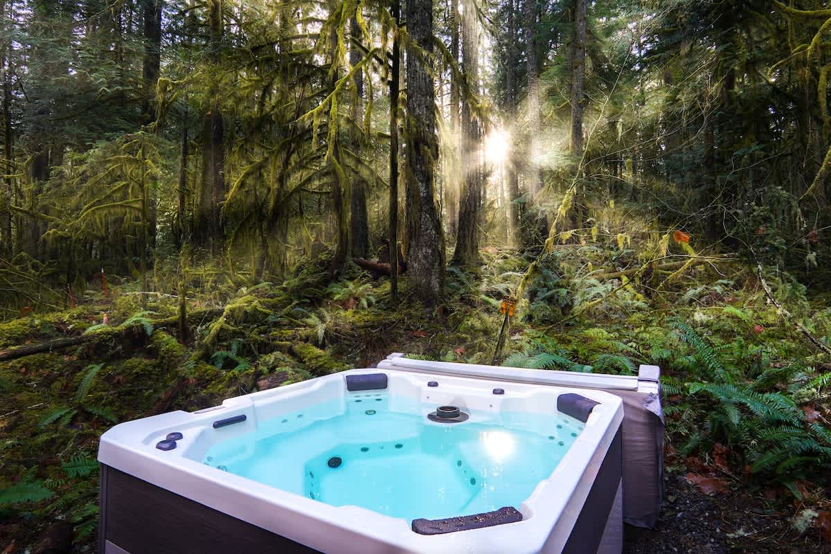 Mt Baker Storybook Cabin Hot Tub & Fireplace