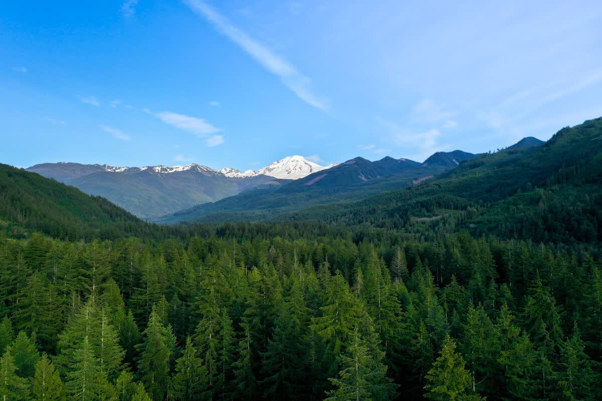 2 BR Modern Luxury Woodland Family Escape Near Mt Baker #40