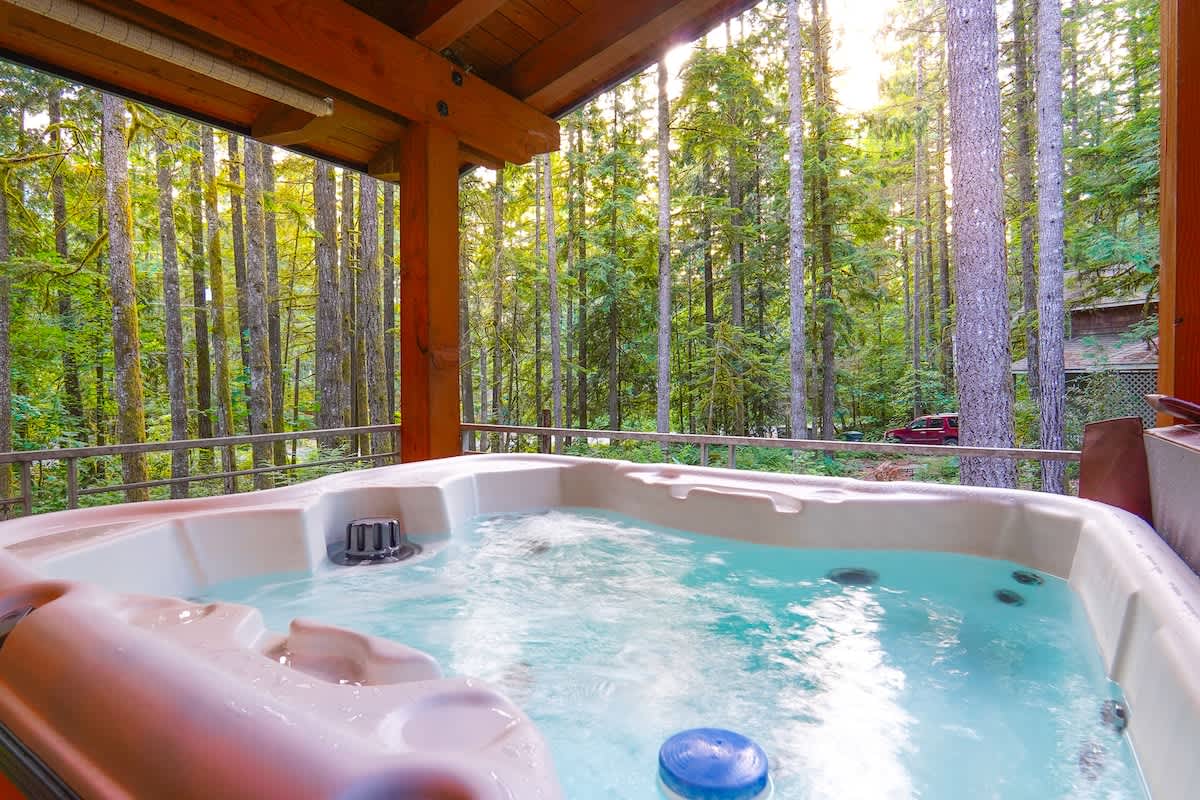2 BR Modern Luxury Woodland Family Escape Near Mt Baker #5