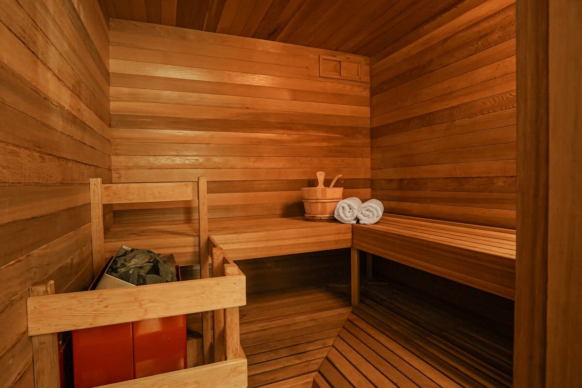 Skywood Mid Century Cabin with Private Sauna and Forest Views Near Mt Baker property photo 3