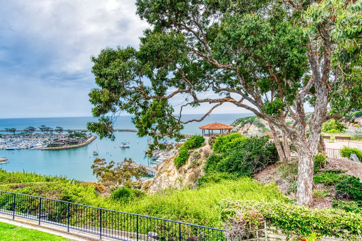 Home in Dana Point property photo 2