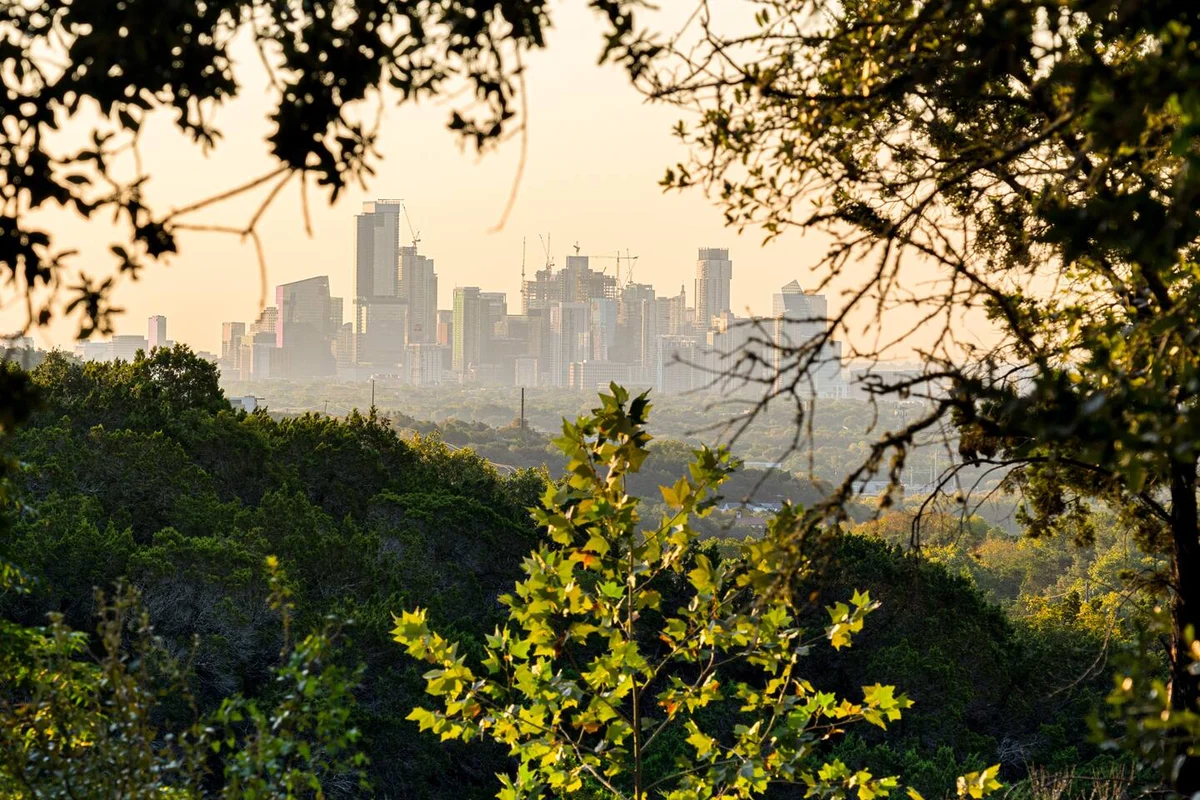 Skyline Perch: Infinity Pool & Treetop Views #84
