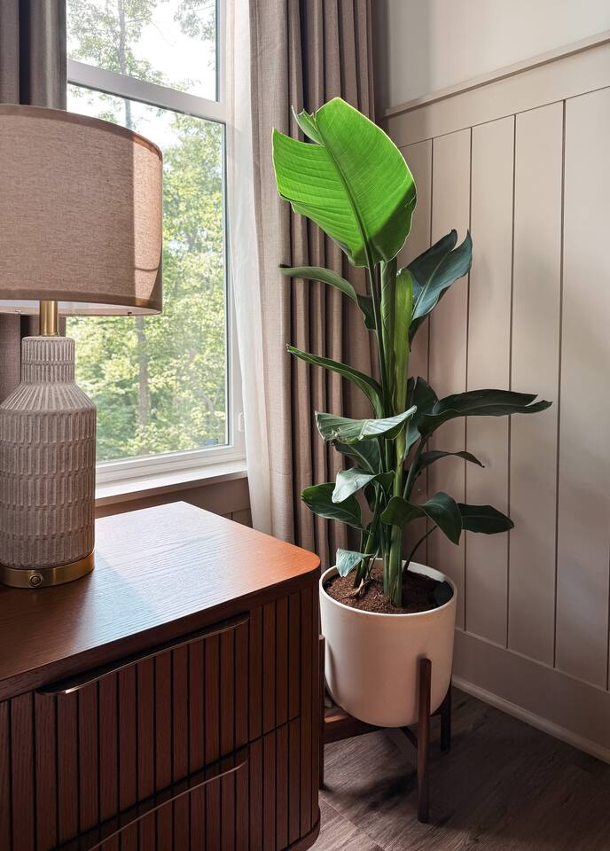 BEDROOM image 1