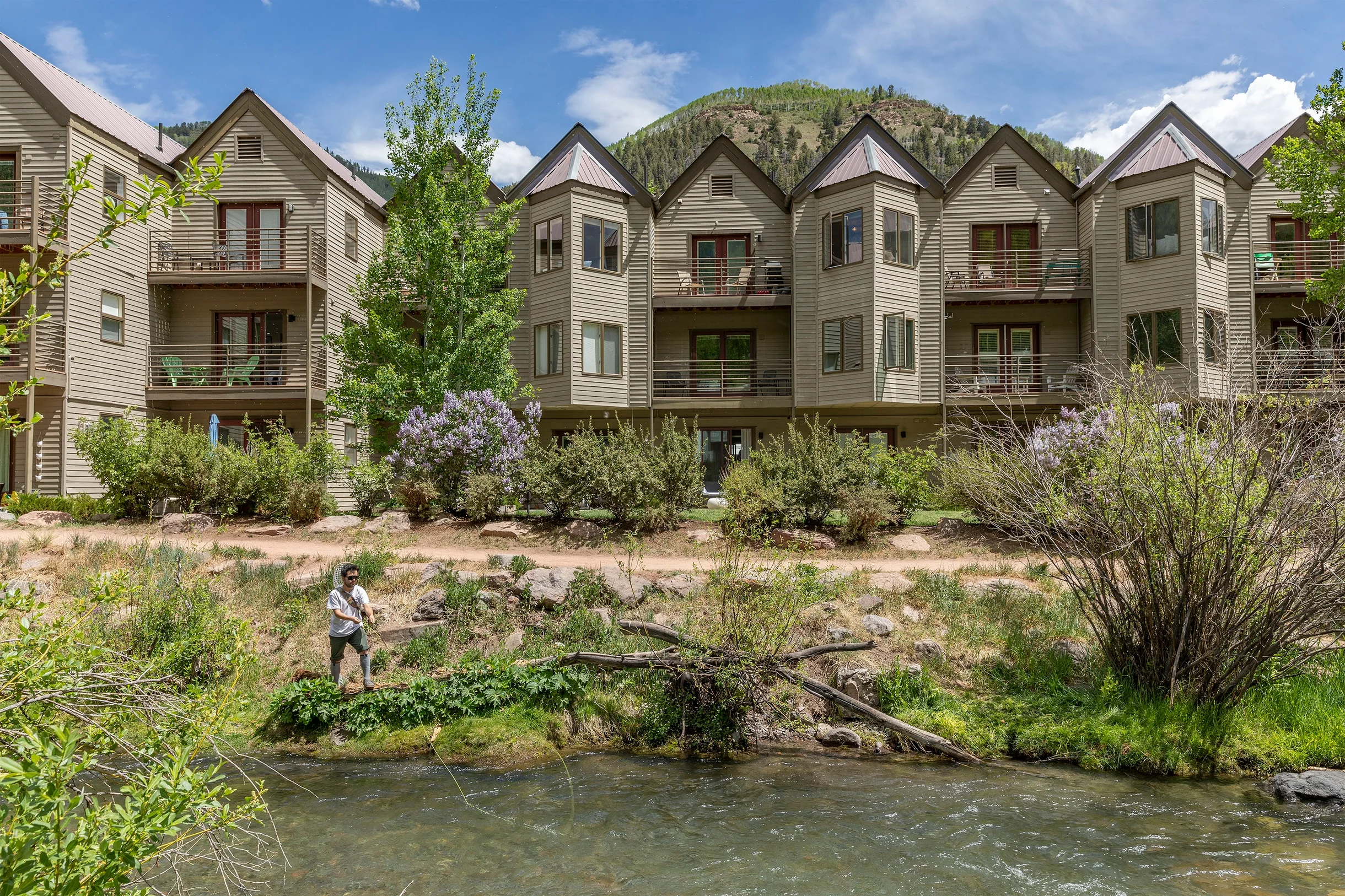 Condo in Telluride property photo 1