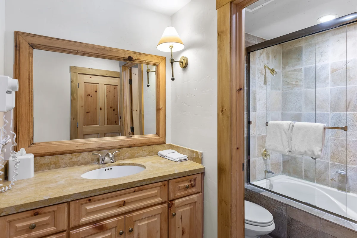 Condo in Mountain Village property photo 3