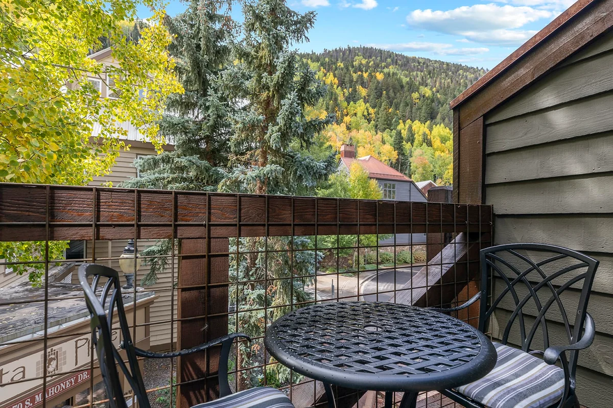 Condo in Telluride property photo 2