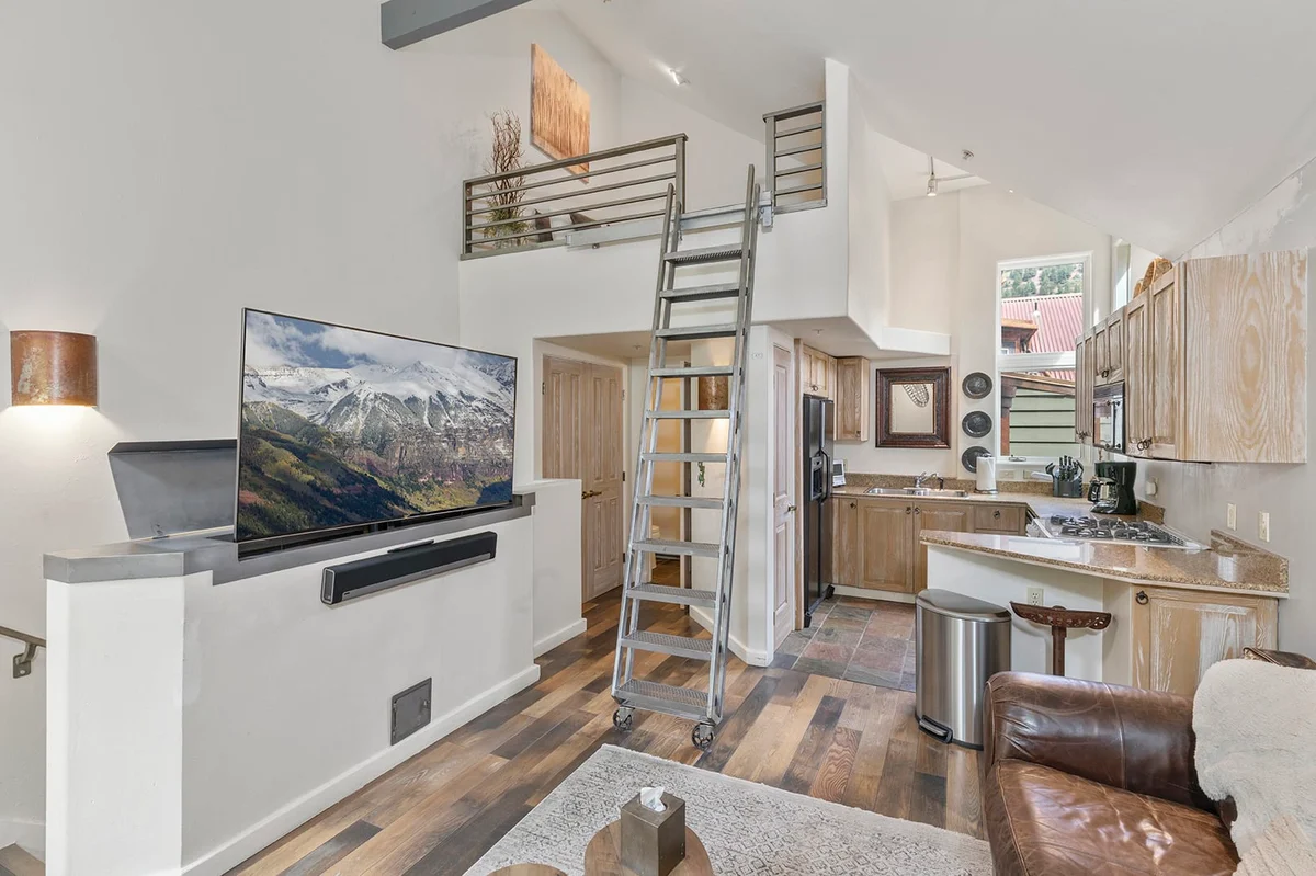 Condo in Telluride property photo 4