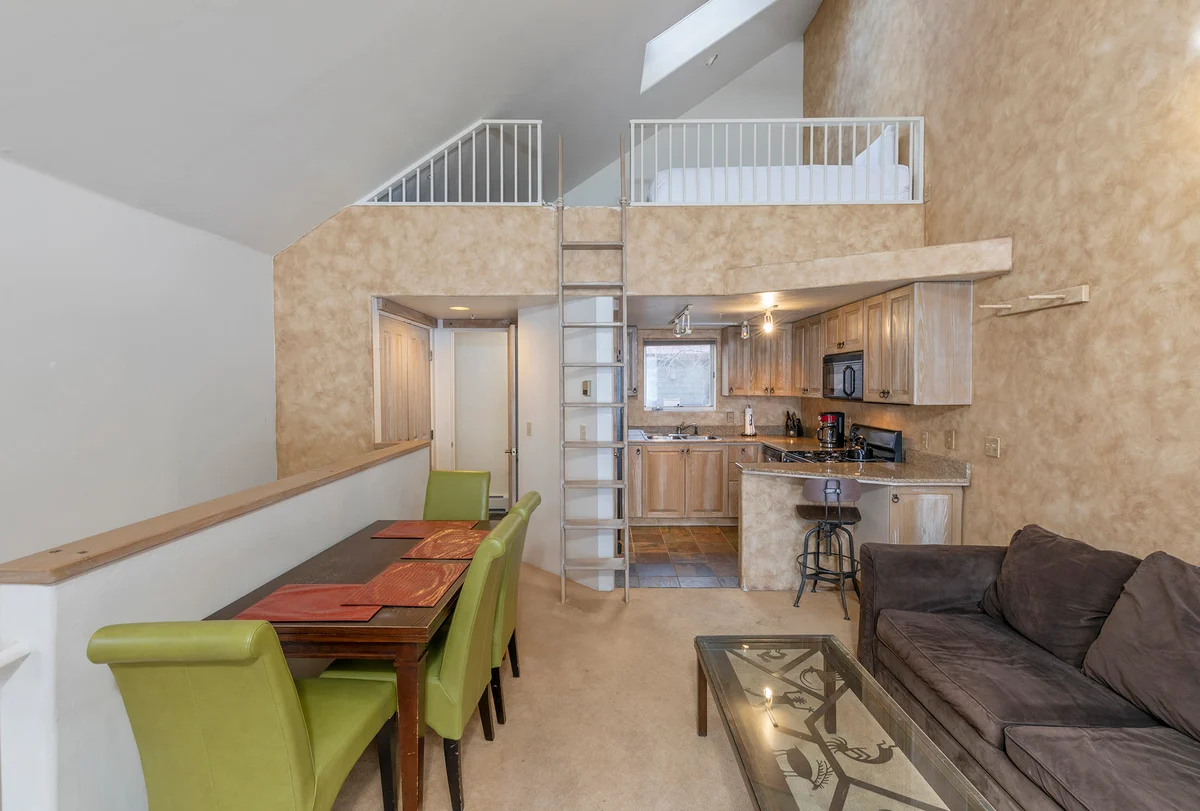 Condo in Telluride property photo 3