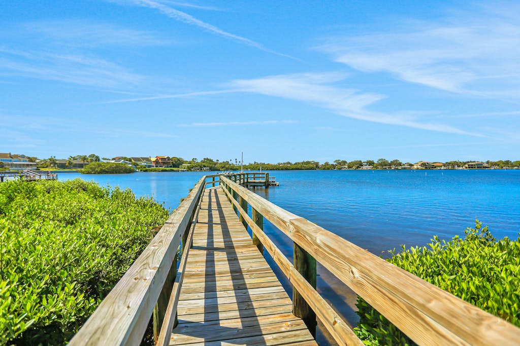Home in Palm Harbor property photo 5