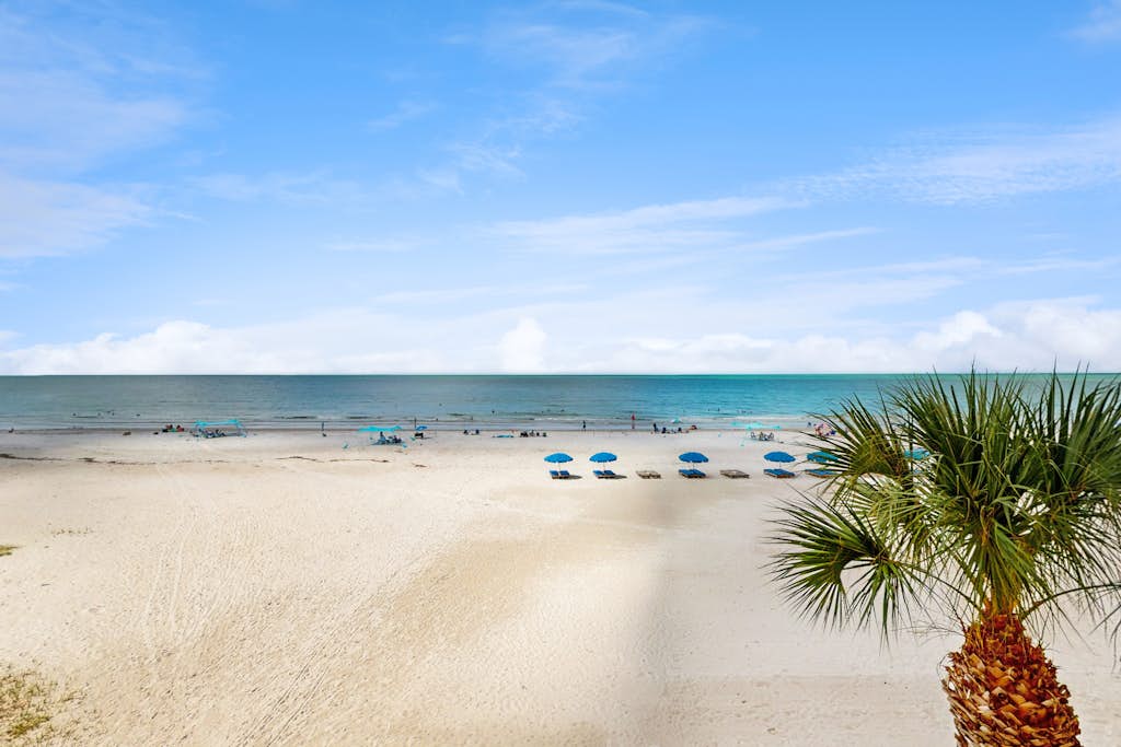 Condo in Indian Shores property photo 3