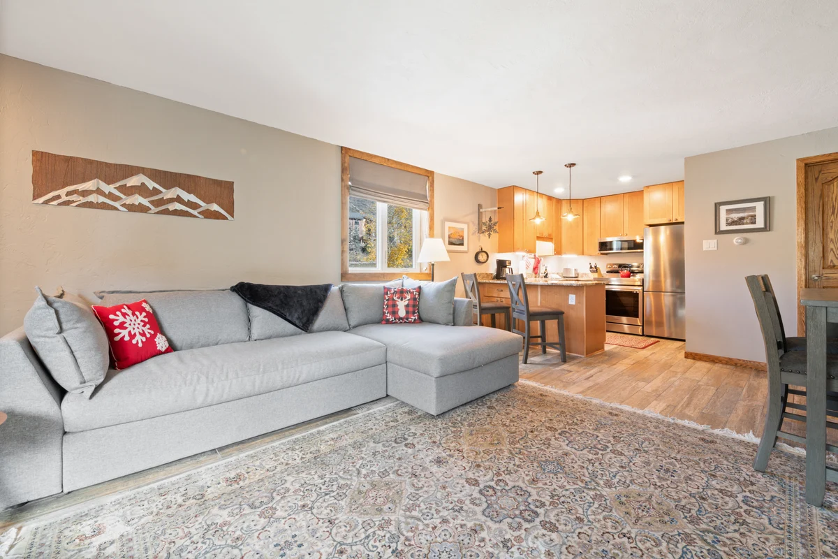 Condo in Vail property photo 2