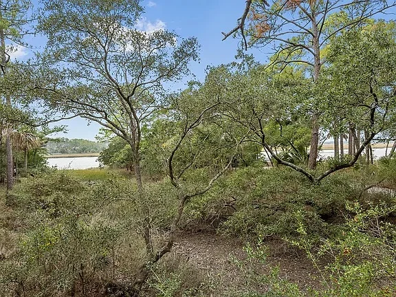 Property in Kiawah Island property photo 2