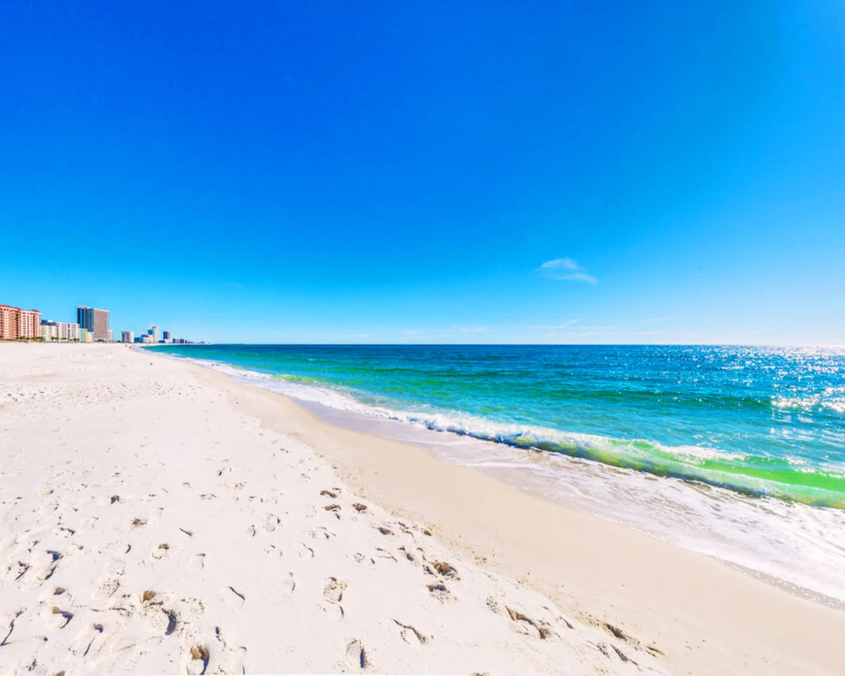 Condo in Orange Beach property photo 5