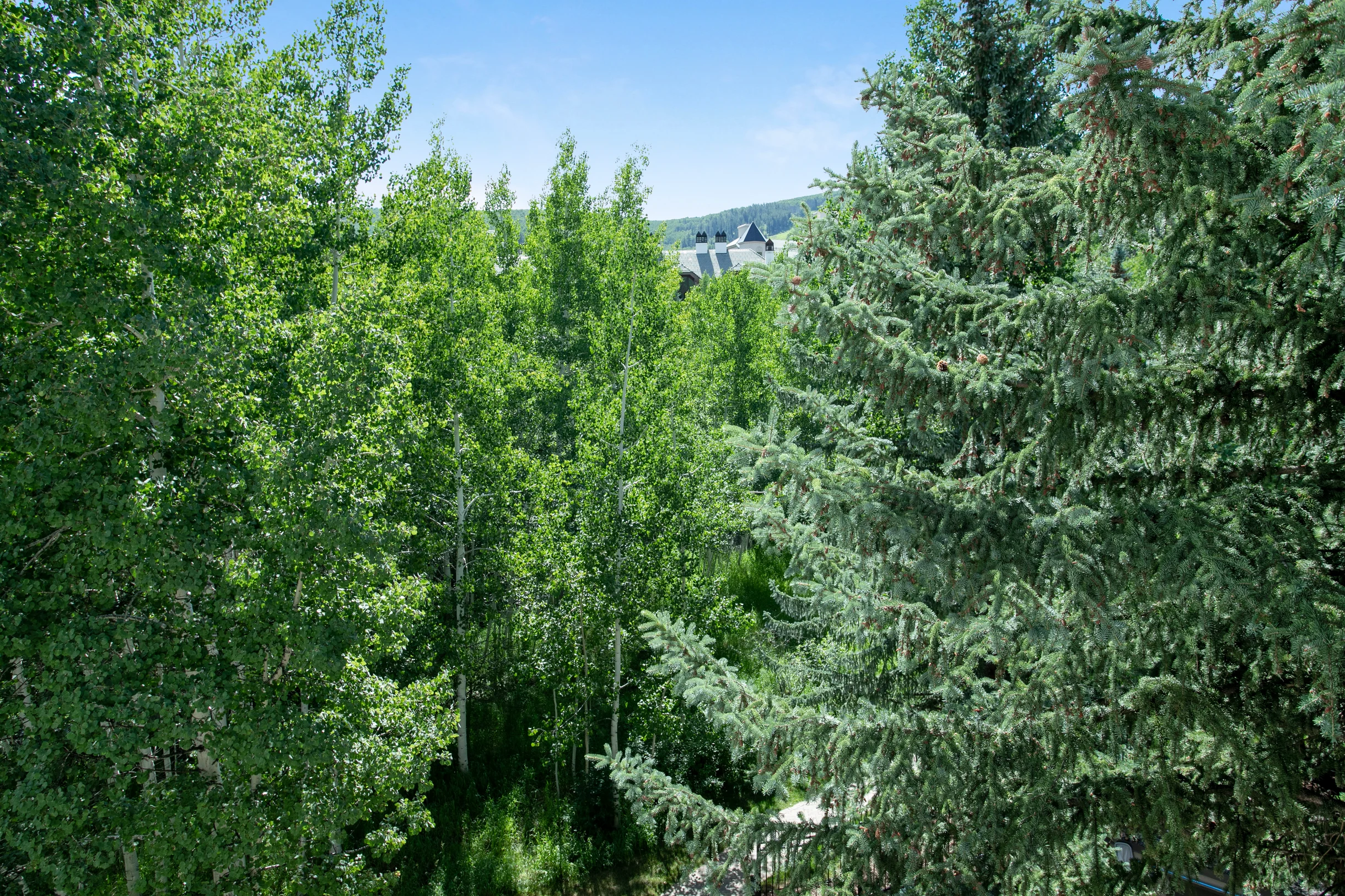 Condo in Beaver Creek property photo 4