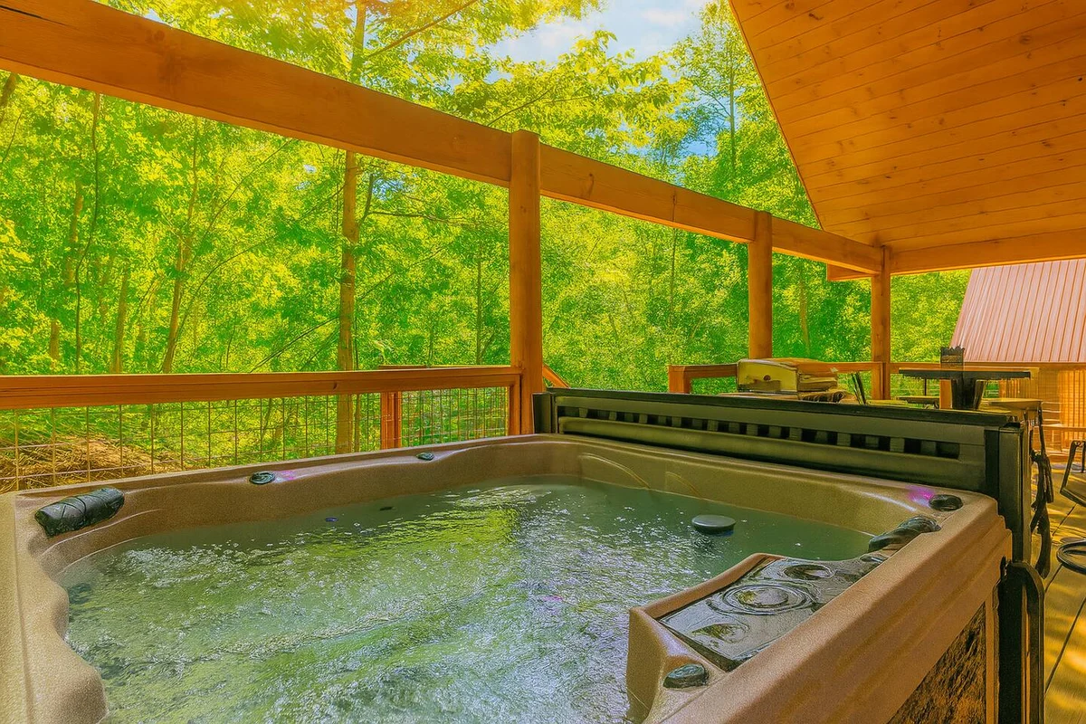 Property in Pigeon Forge property photo 4