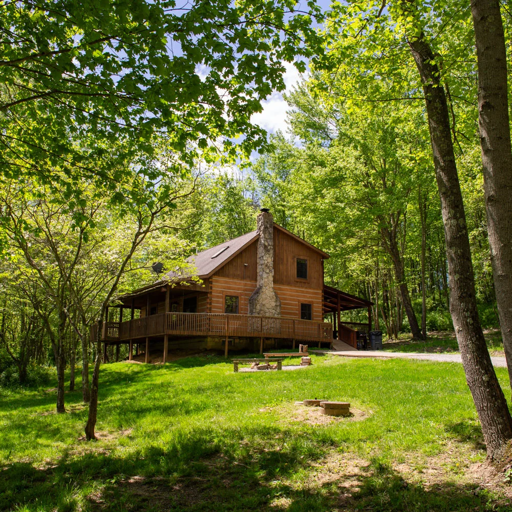 Property in Logan property photo 2