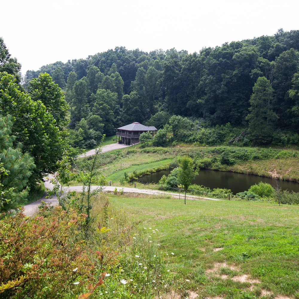 Property in Logan property photo 2
