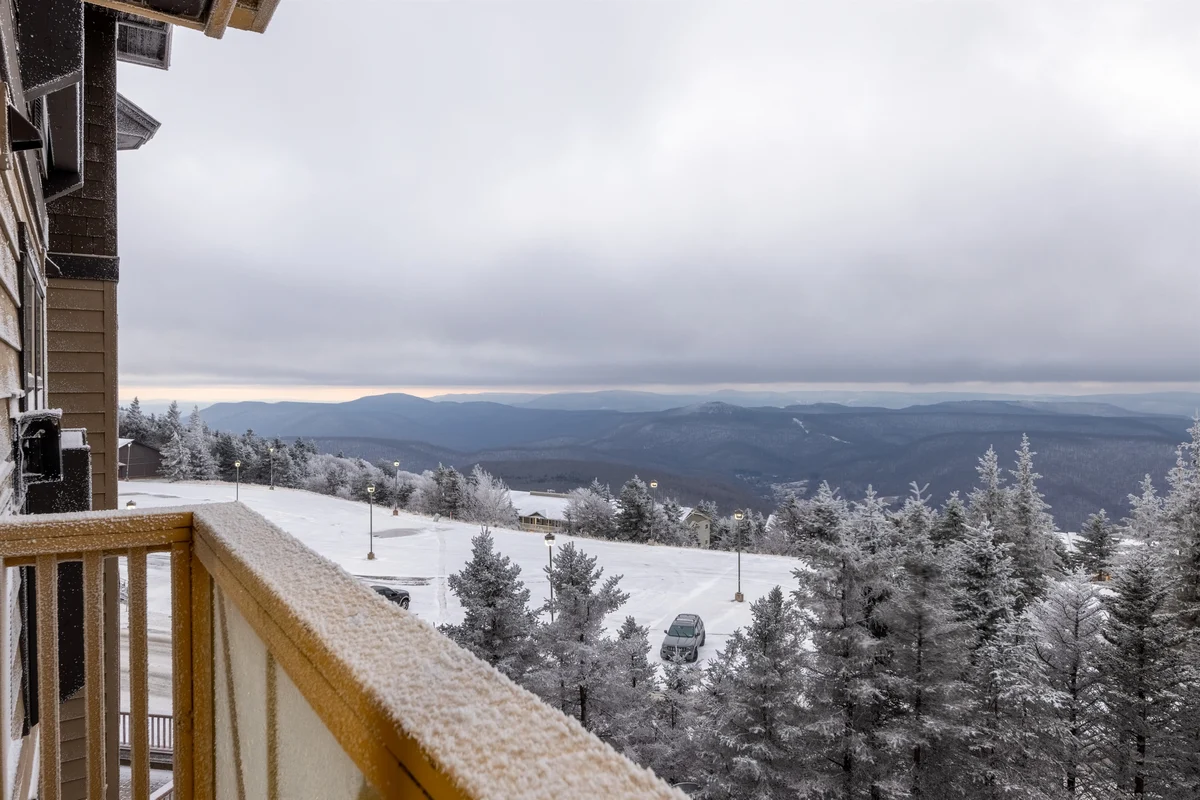 Condo in Snowshoe property photo 5