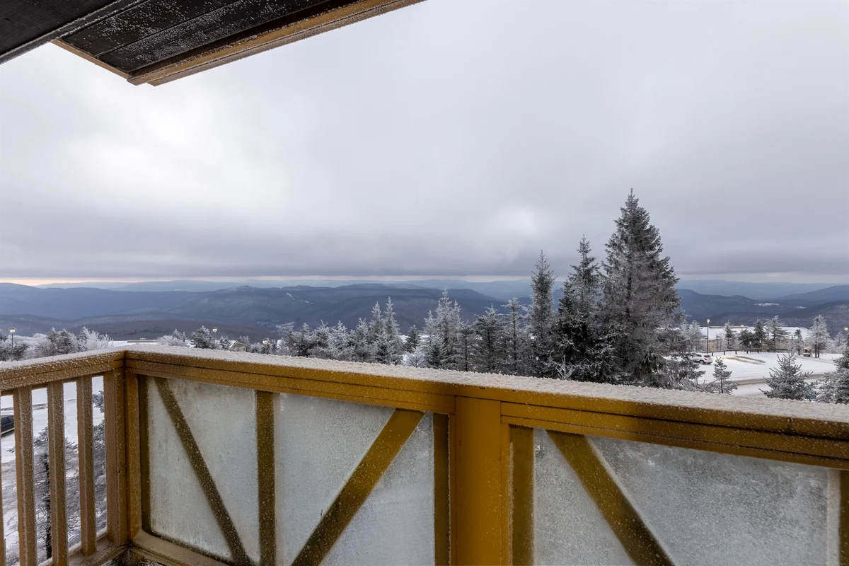 Condo in Snowshoe property photo 4