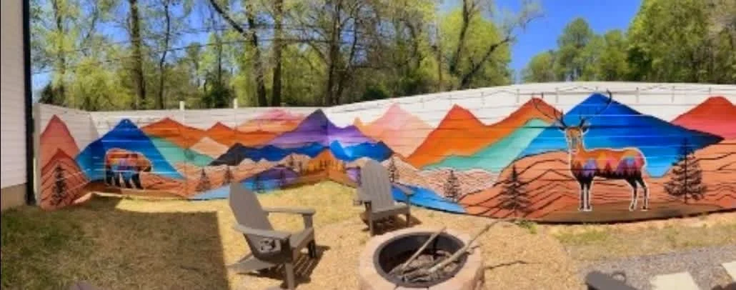 East Asheville, hot tub & firepit property photo 3