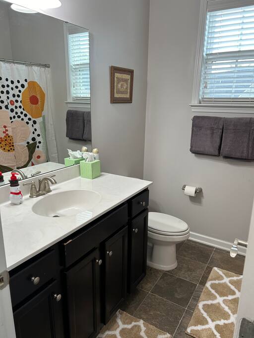 Game Room & Pet-Friendly House Near AVL Airport property photo 3