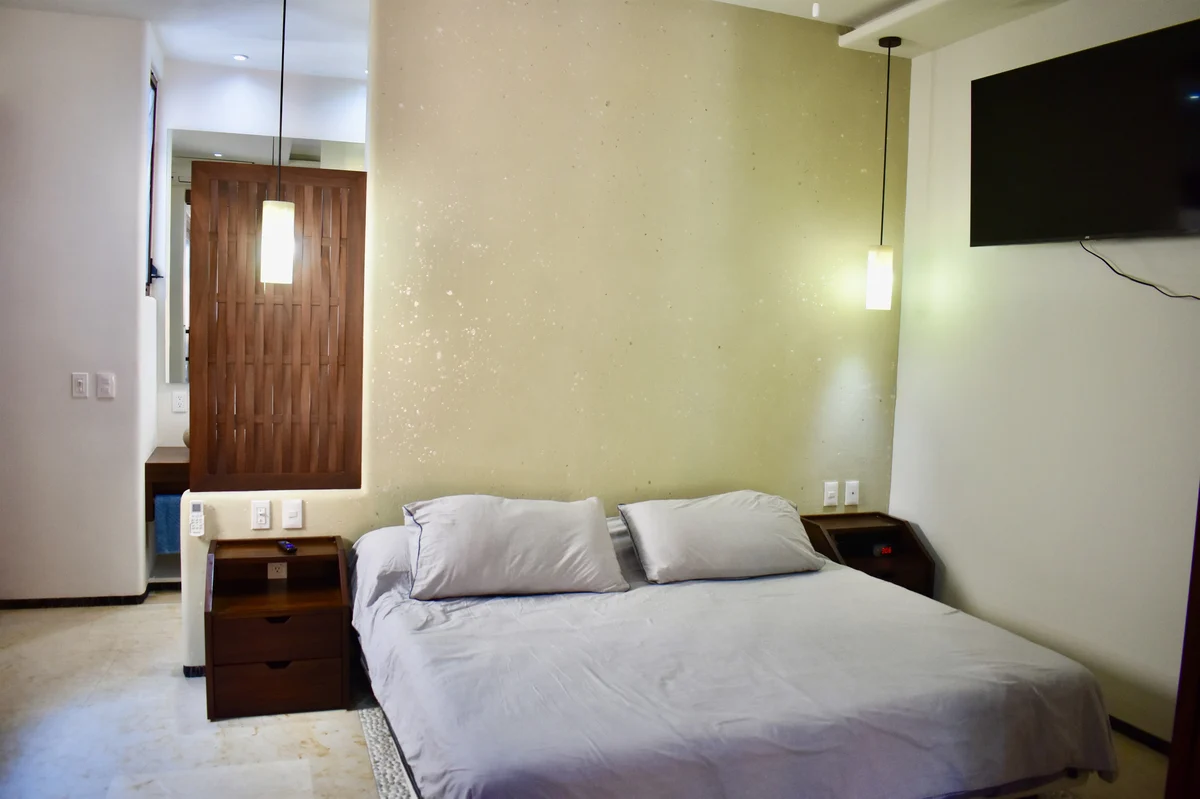 Condo in Zihuatanejo de Azueta property photo 5