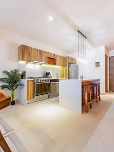 Home in Akumal property photo 4
