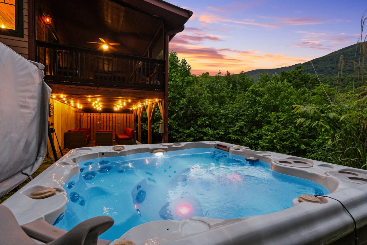 Home in Black Mountain property photo 2
