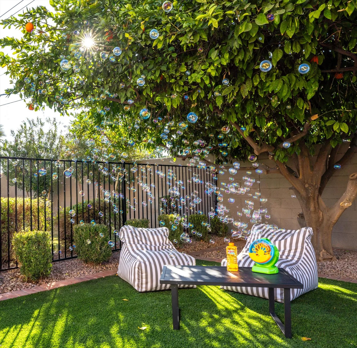 Home in Scottsdale property photo 24