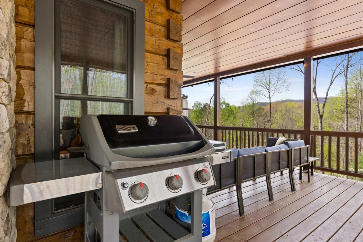 Home in Blairsville property photo 42