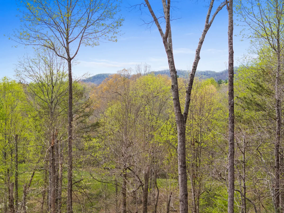 Home in Blairsville property photo 27