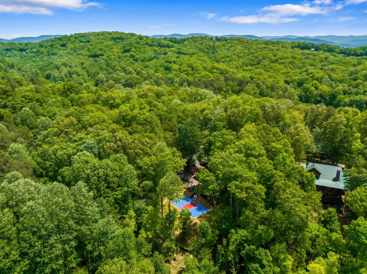 Home in Blairsville property photo 58