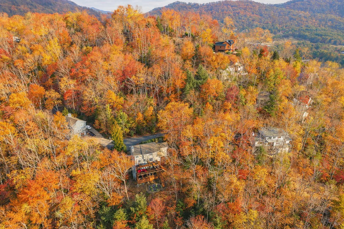 Home in Asheville property photo 18
