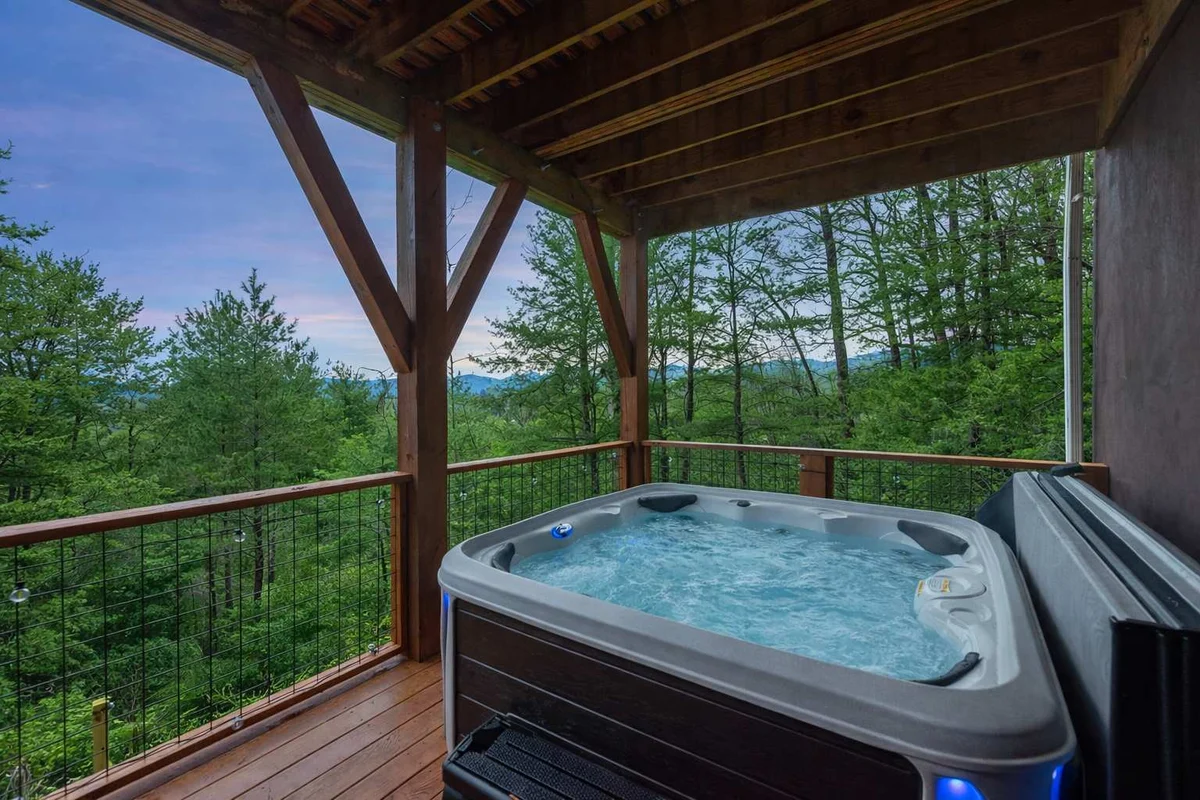 Home in Asheville property photo 63
