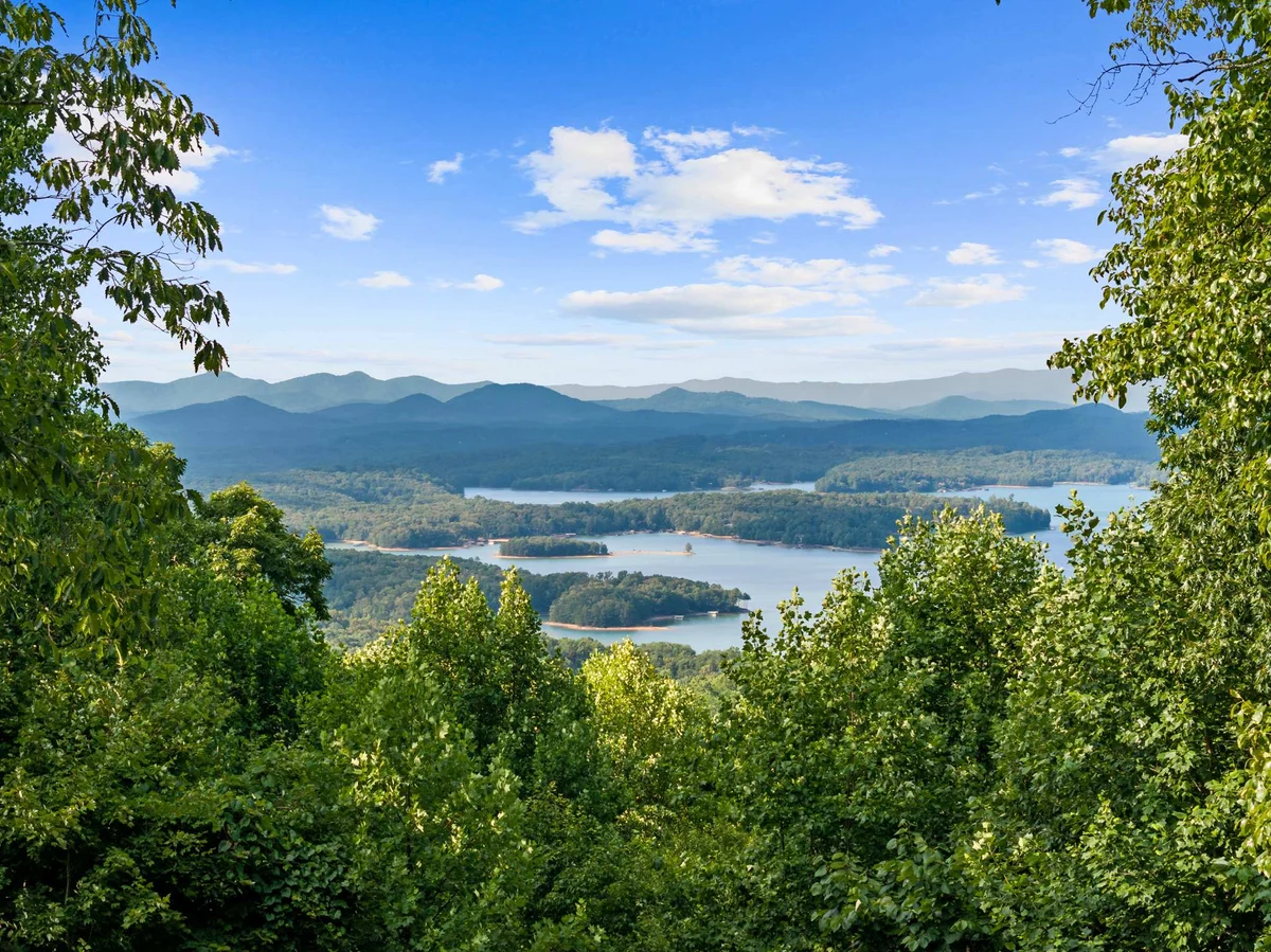 Starry Skies: Sauna, S'mores & Pickleball Retreat property photo 5