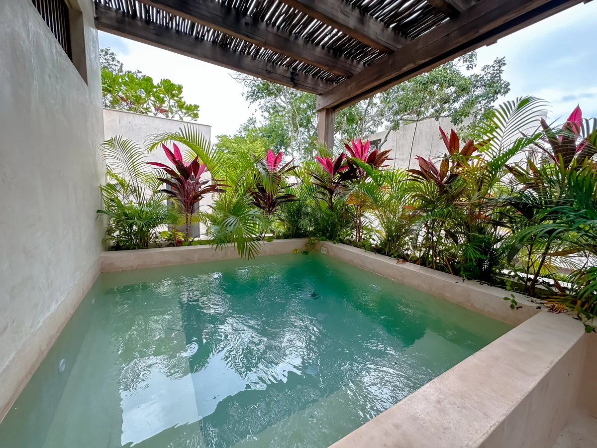 Property in Tulum property photo 4