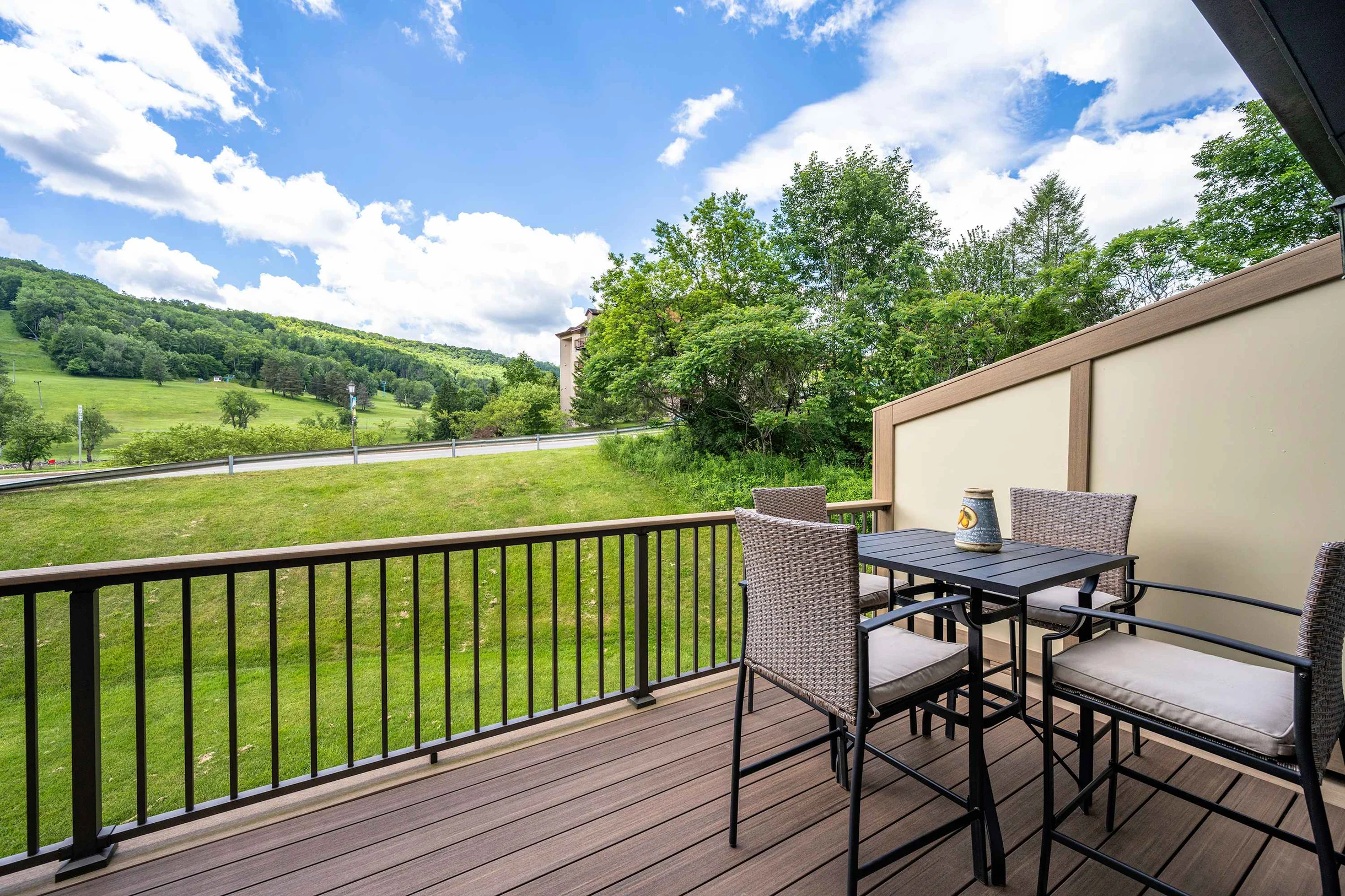 Townhome in New York property photo 3